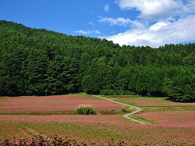 Minowa