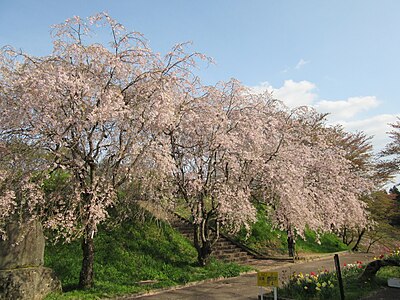 中川村