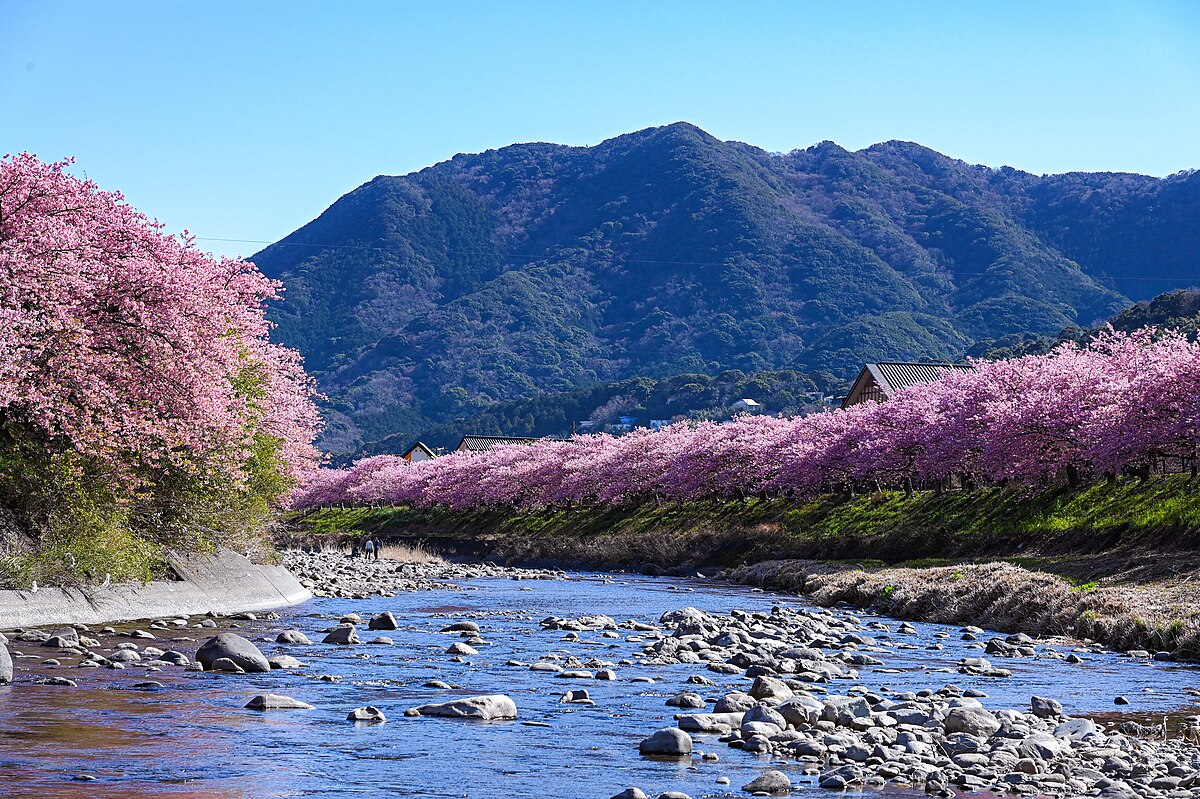 河津町