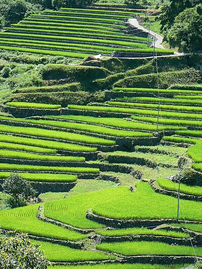 吉賀町