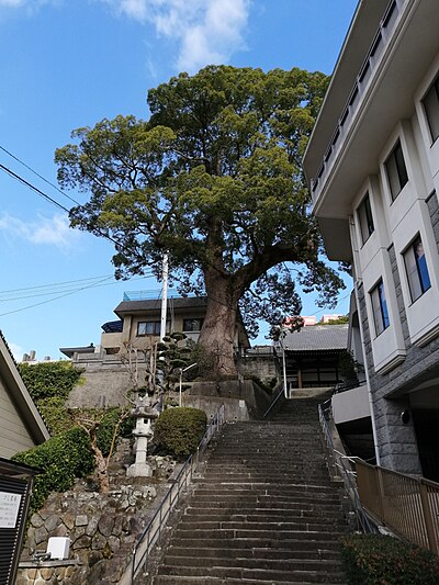 觀善寺