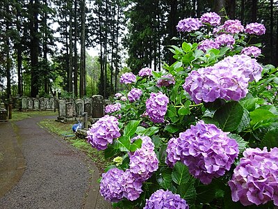 多古町