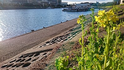 Katsushima Canal