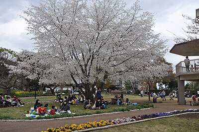 川崎市幸区