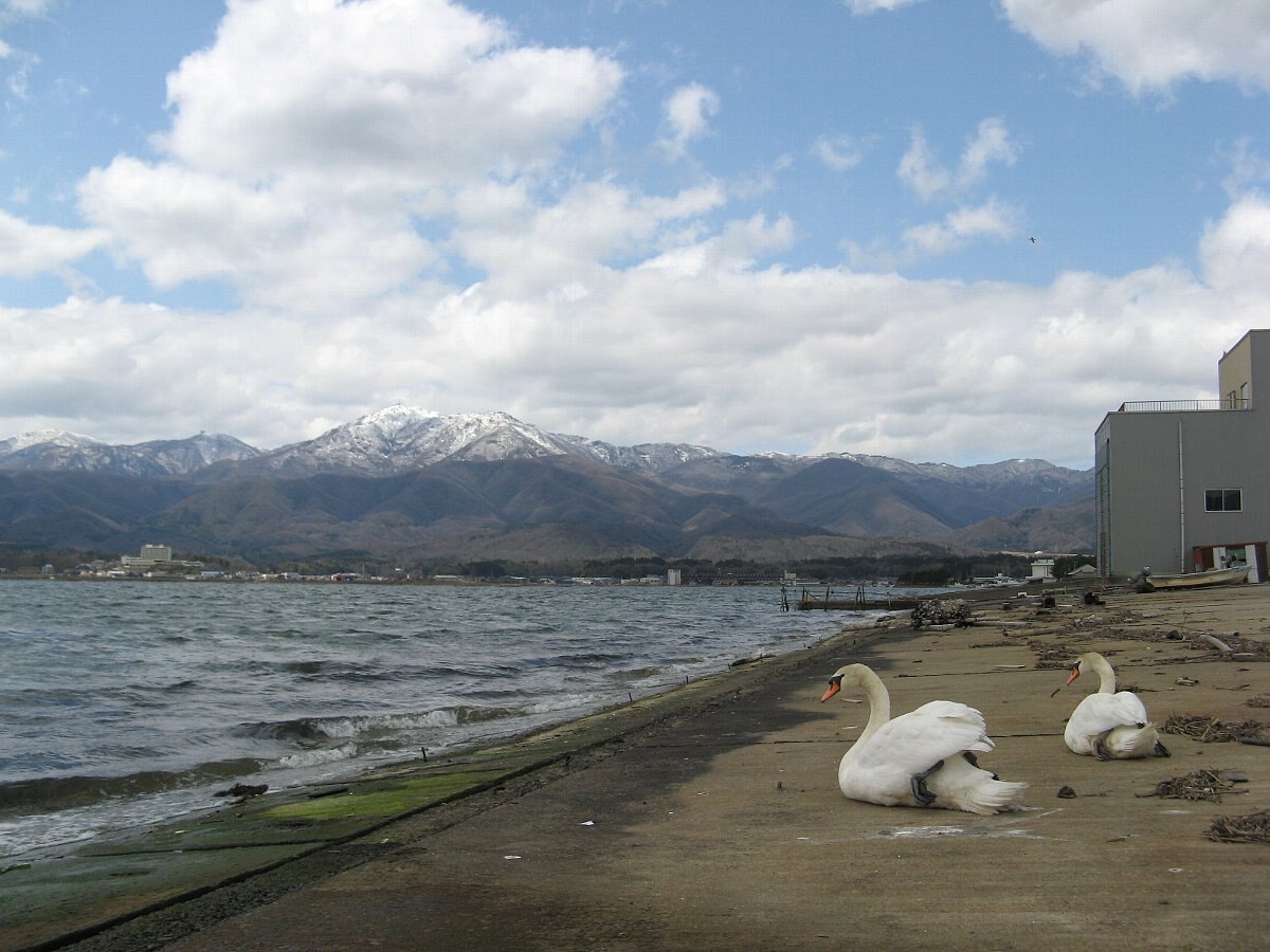 金北山