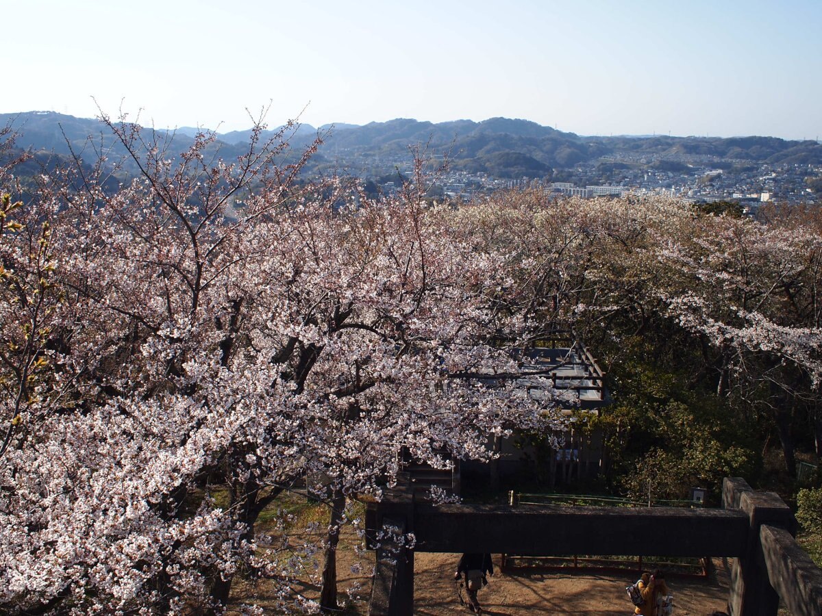 Kinugasayama Park