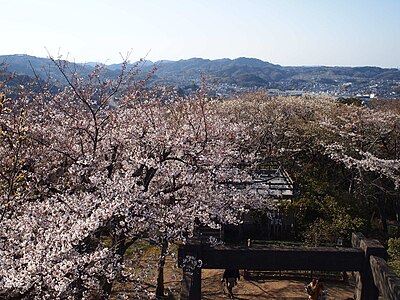 衣笠山公園