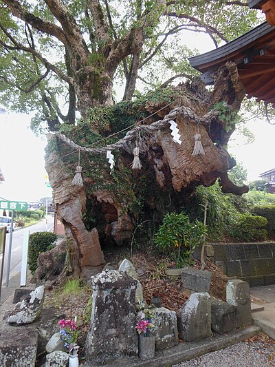 Kohoku