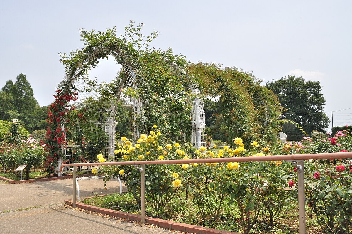伊奈町