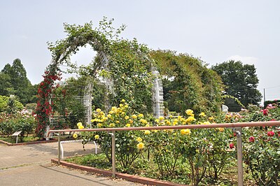 伊奈町