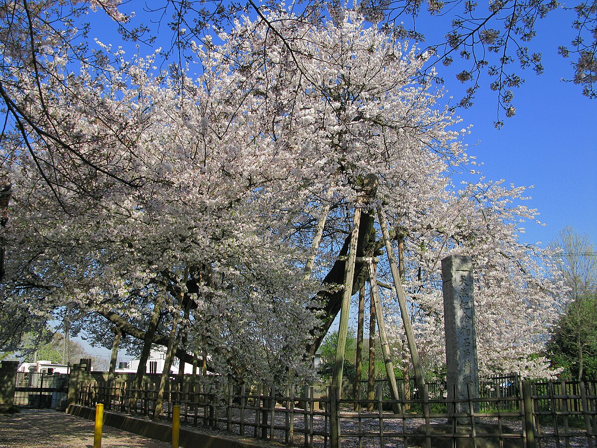 北本市