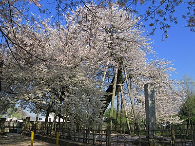 北本市