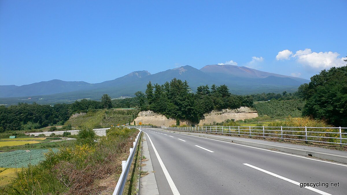 Miyota