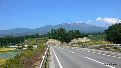 Miyota