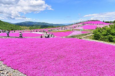 豊根村