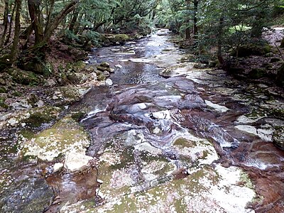 Kihoku