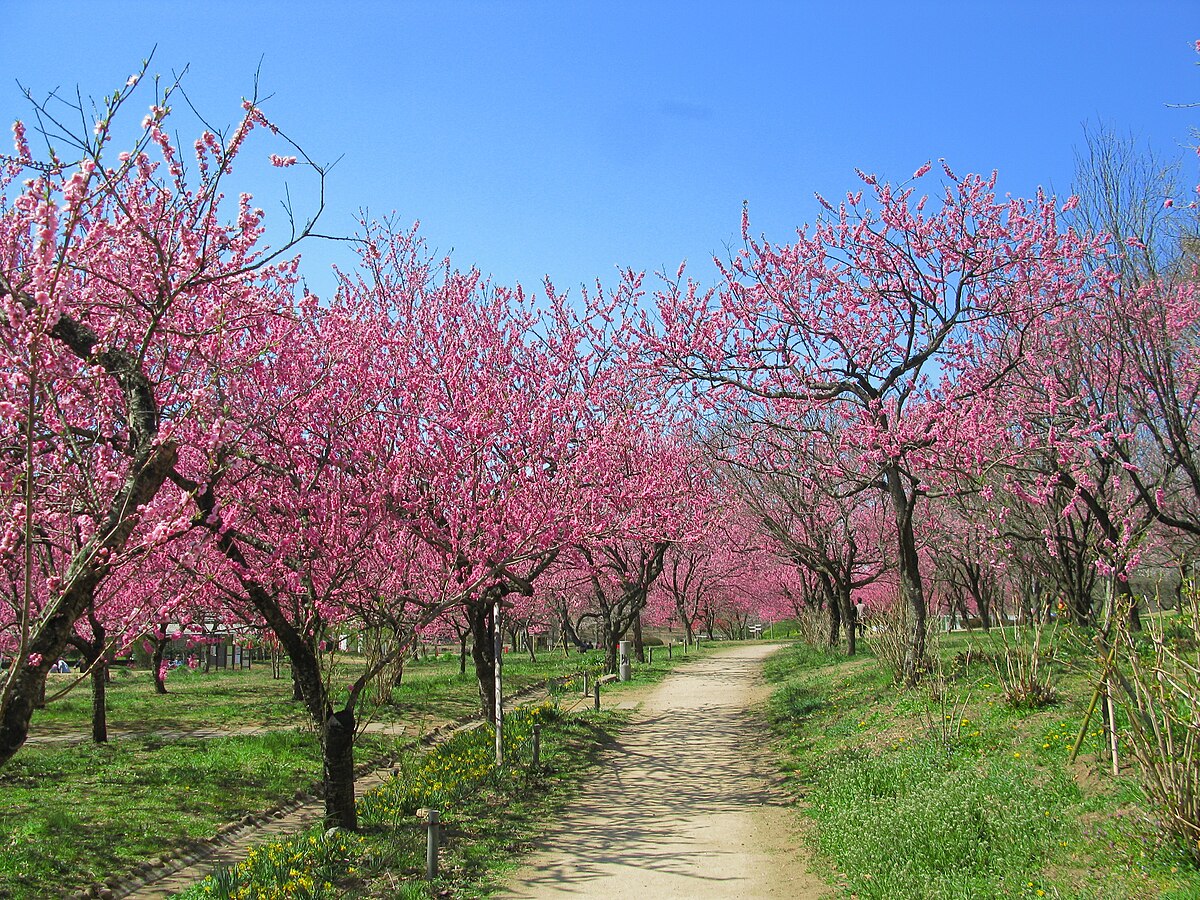 古河市