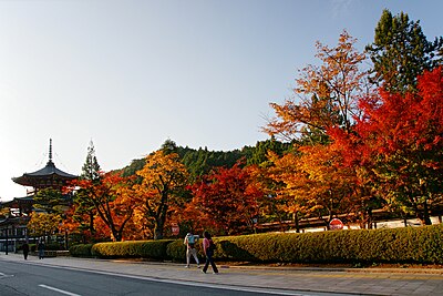 高野龍神国定公園