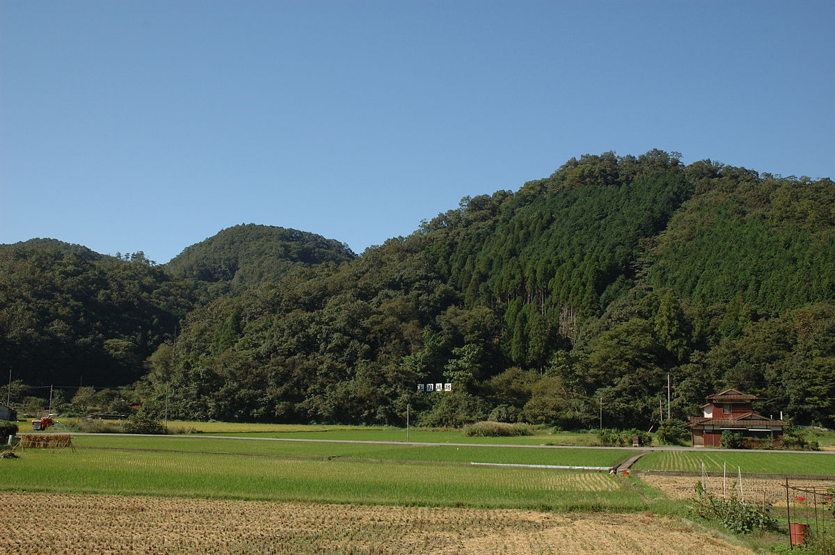 上月城