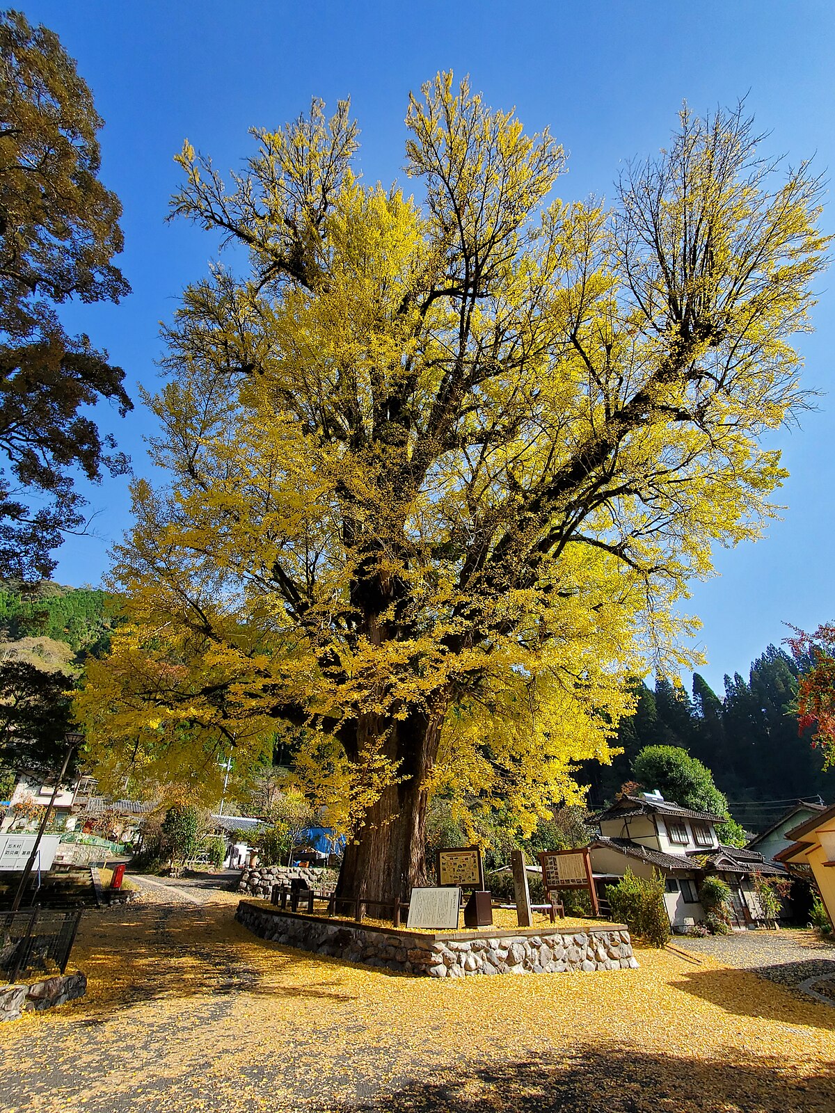五木村