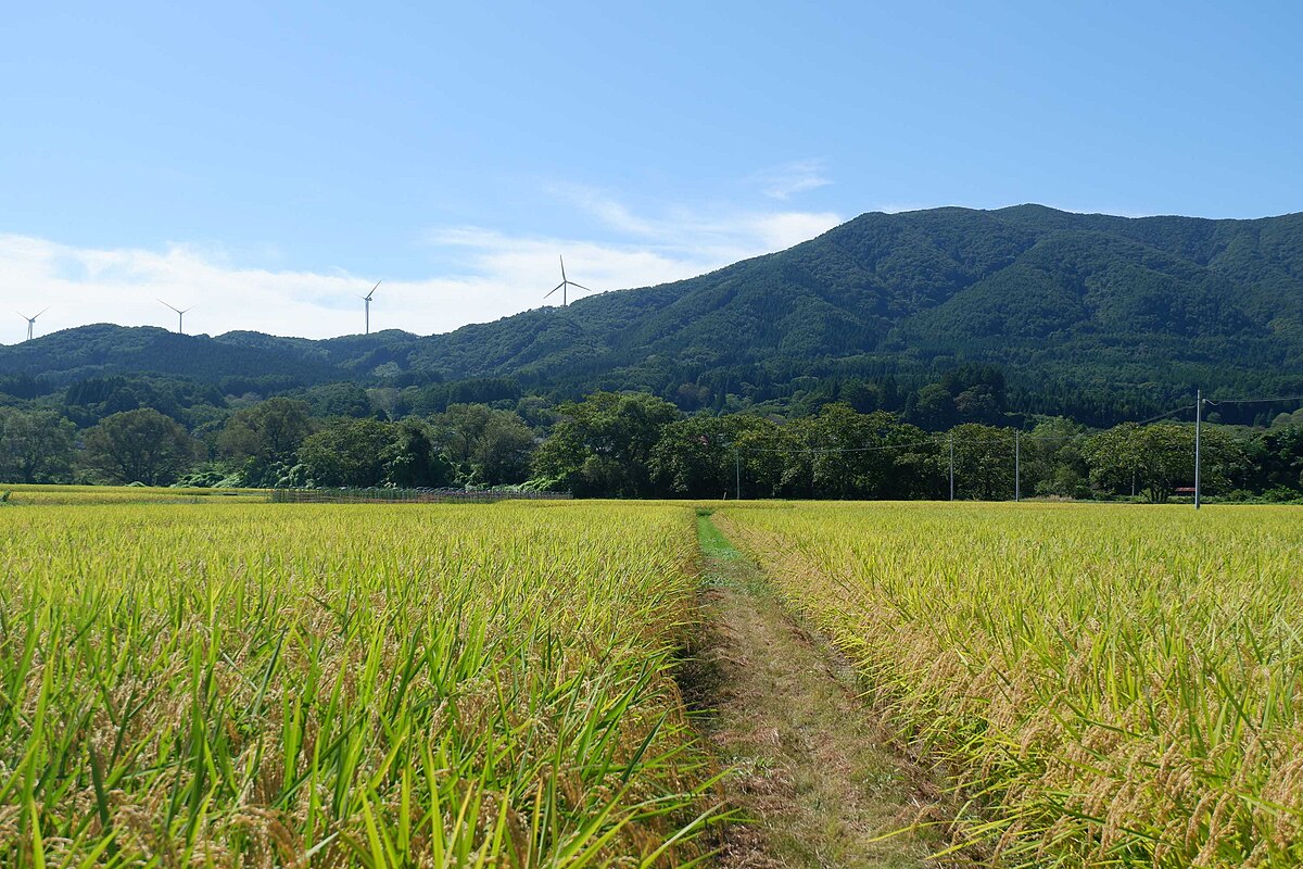 Kunohe