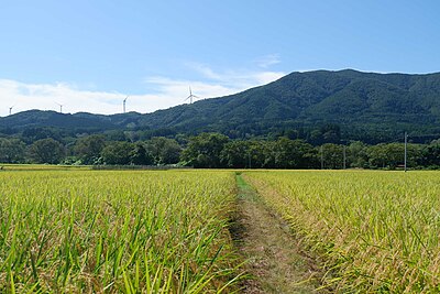 Kunohe