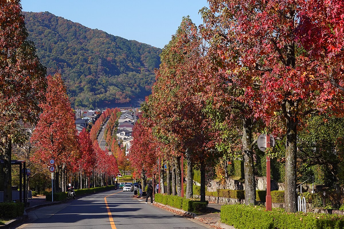 Nishikyo Ward, Kyoto