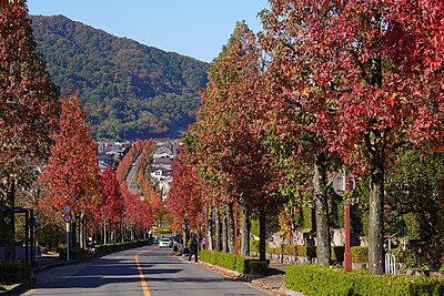 Nishikyo Ward, Kyoto