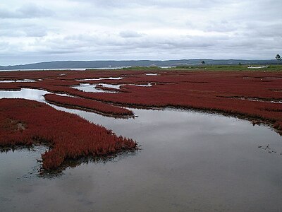 Lake Notoro