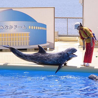 海之中道海洋世界