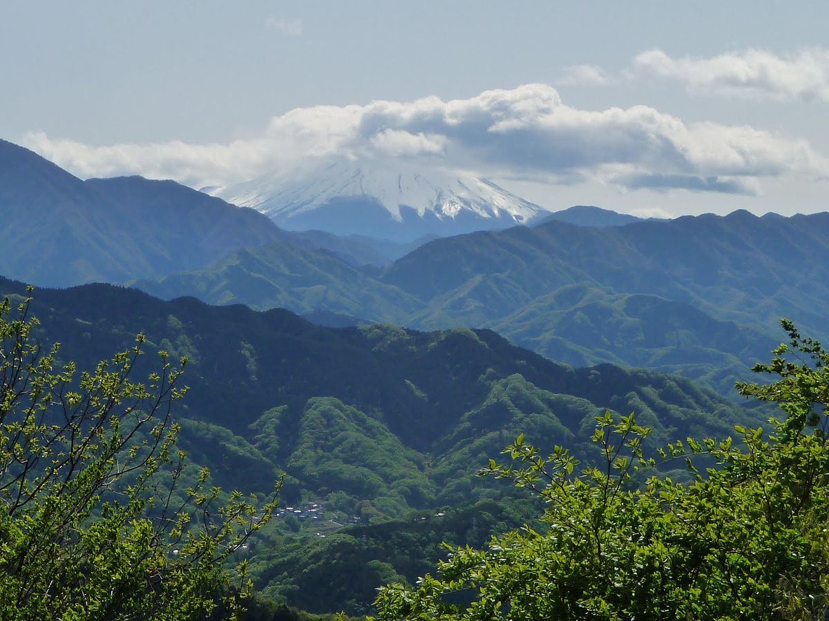 Meiji no Mori Takao Quasi-National Park