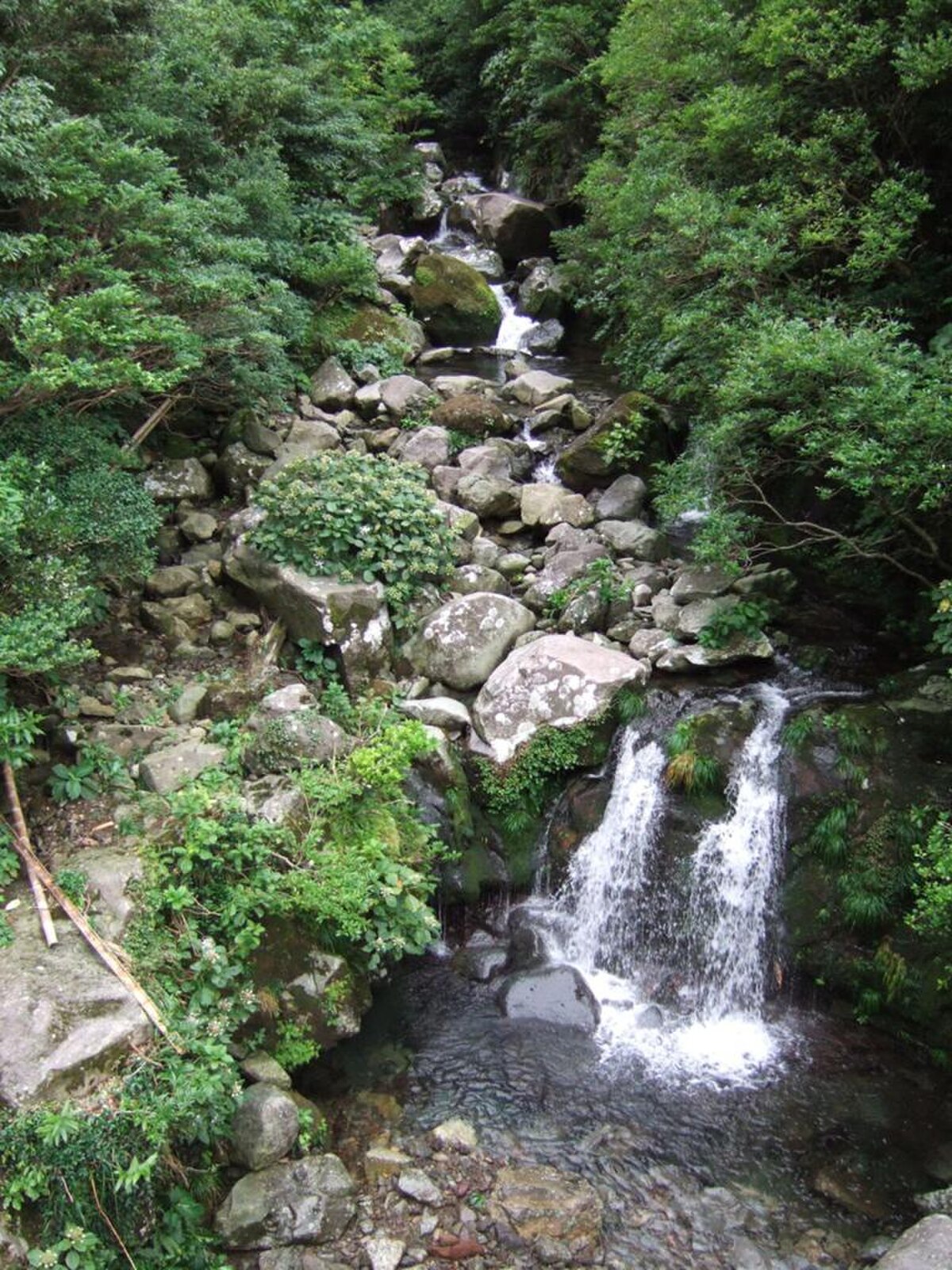 御蔵島村