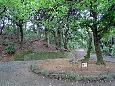 Minami Park
