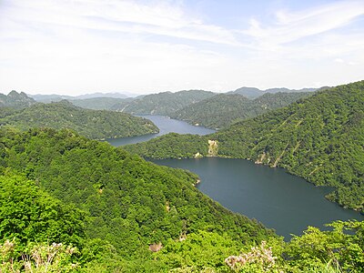 Tadami