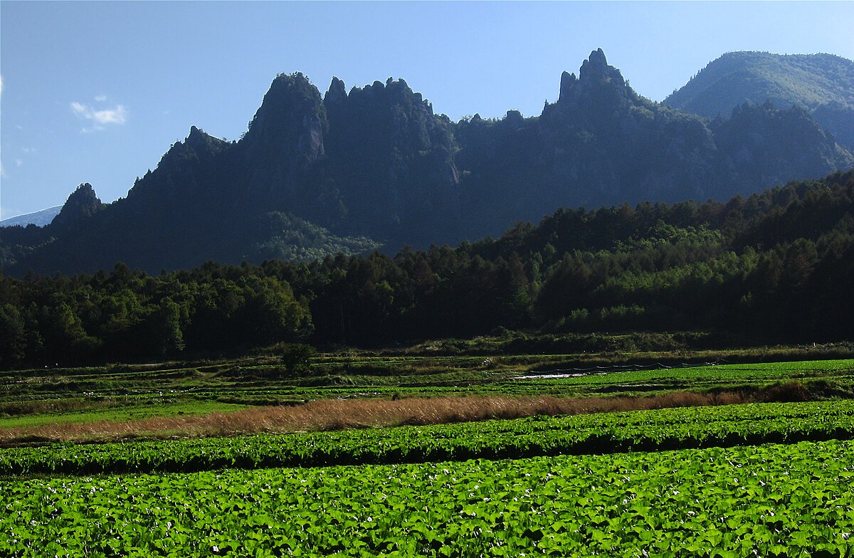 川上村