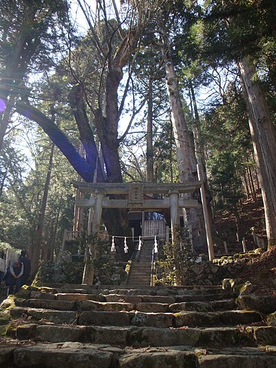 神坂神社