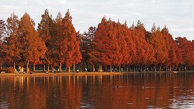 三郷市