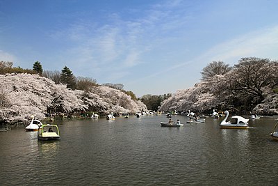Mitaka