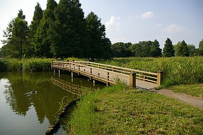 水元公園