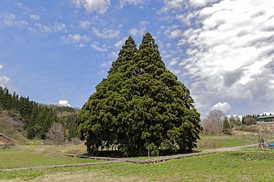 Sakegawa