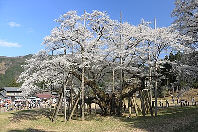Motosu