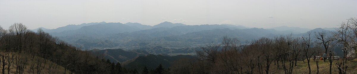 진바산