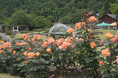 Murayama