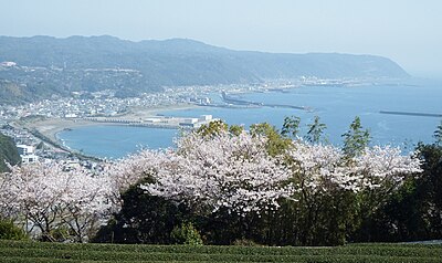 室戸市