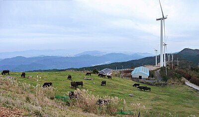 佐那河内村