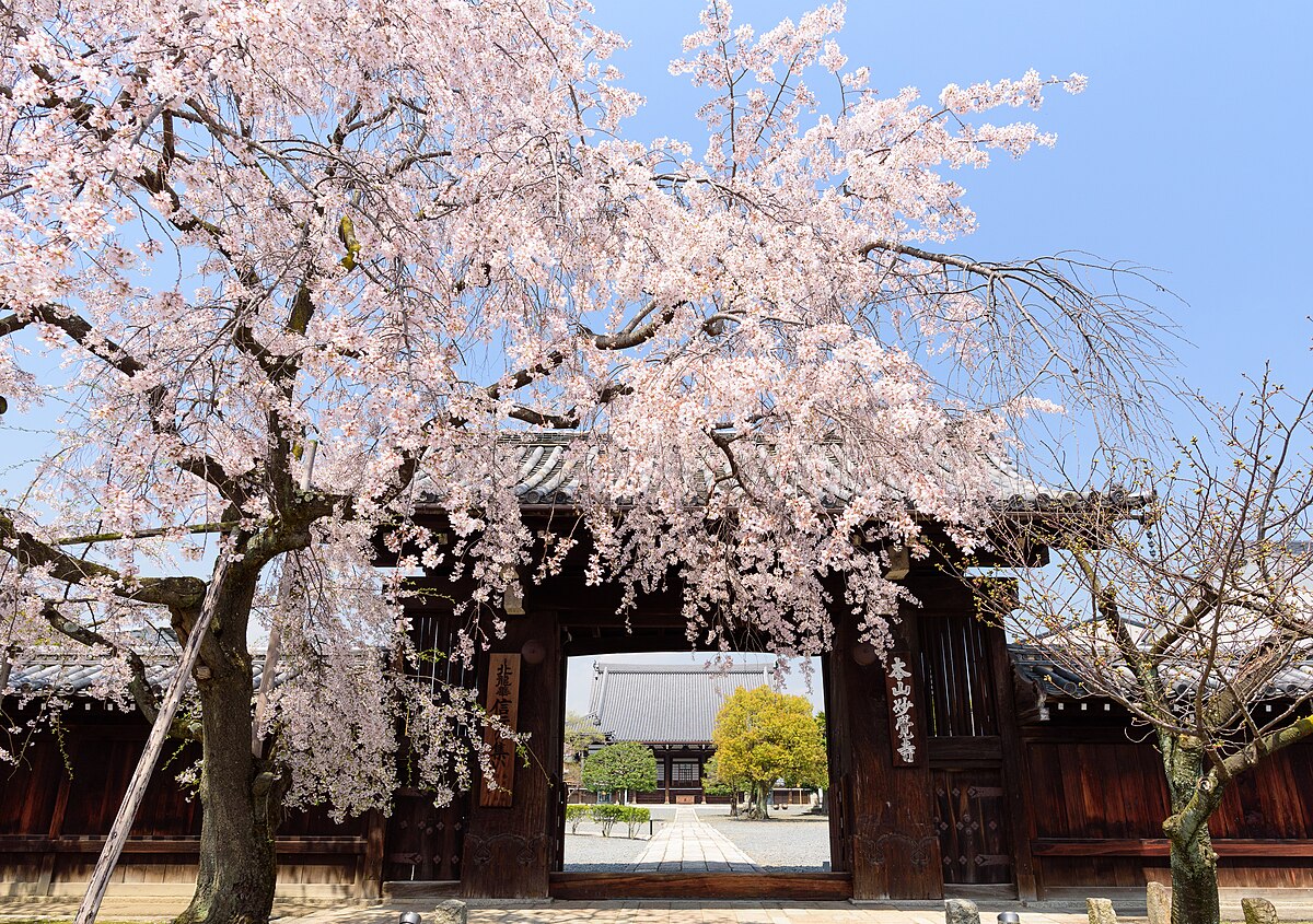 妙觉寺