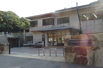 Tsushima