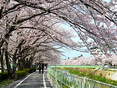 Meito Ward, Nagoya