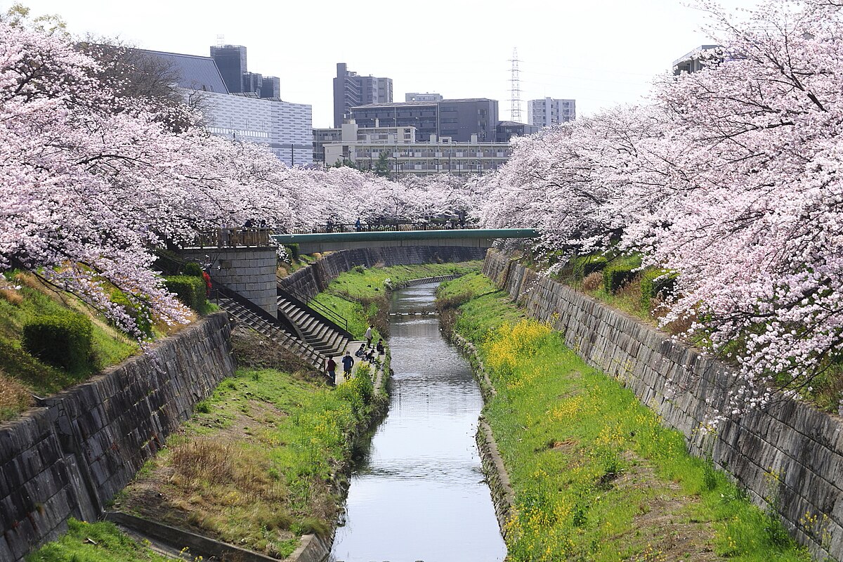Mizuho Ward, Nagoya