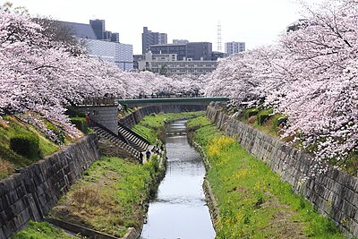 名古屋市瑞穂区